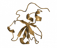 Structure of the N-BAR domain of human Amphiphysin2/Bin1 (top) and the SH3 domain of rat Amphiphysin2/Bin1 (bottom)
